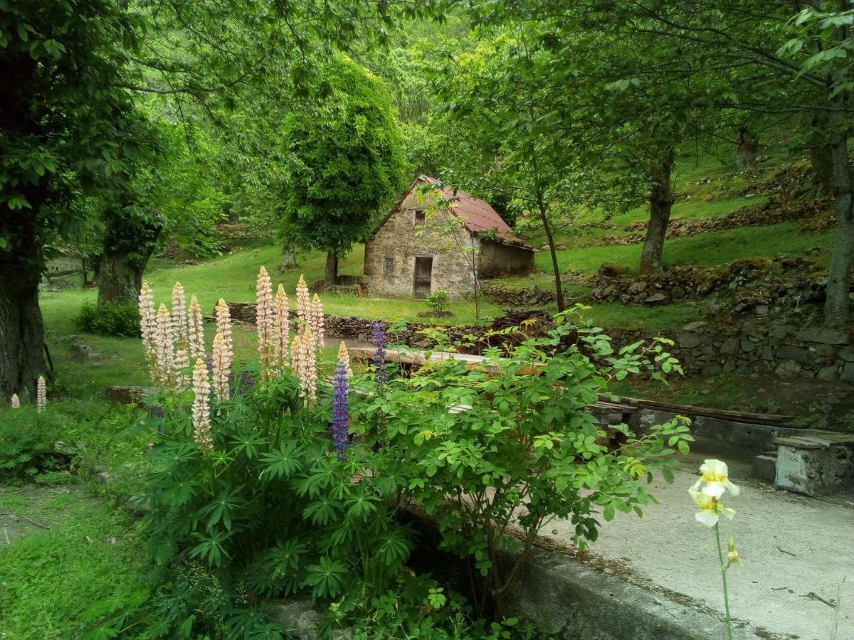 Casa Vacanze Le Muse Sillico Pieve Fosciana Екстер'єр фото
