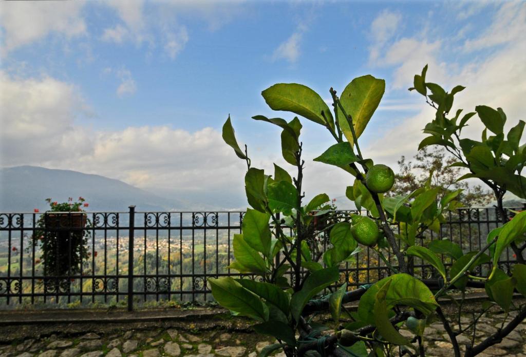 Casa Vacanze Le Muse Sillico Pieve Fosciana Екстер'єр фото